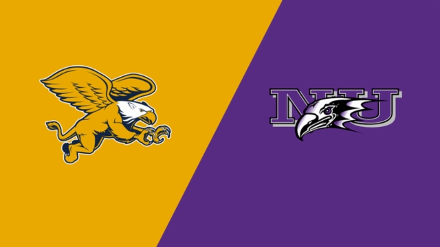 为他们在美 为他们在美