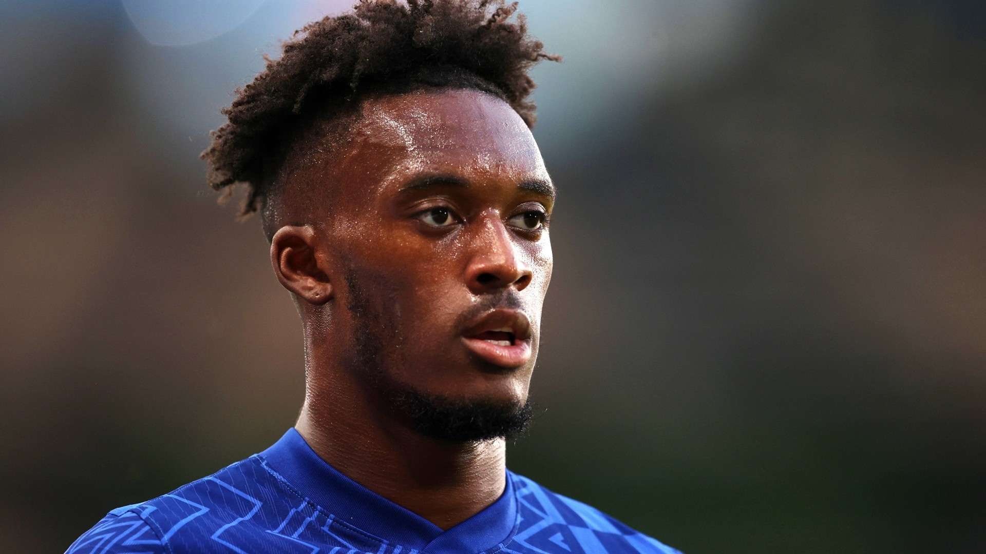 的比分击败 的比分击败